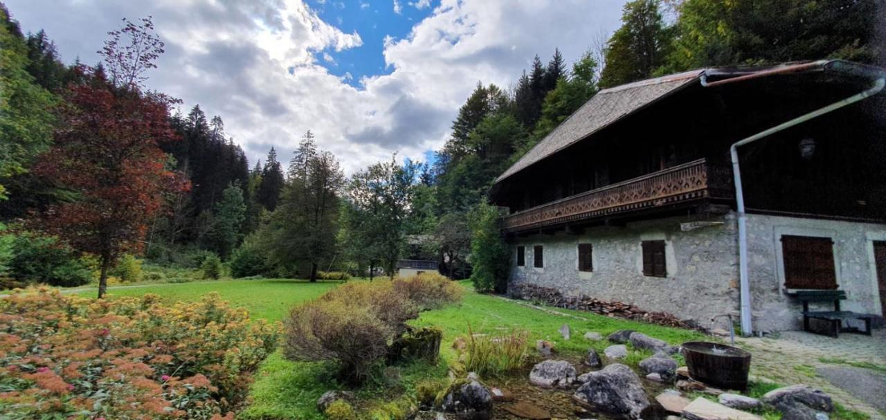 Appartement-3-Chambres-8-Couchages-Wifi-Montriond-Chebourins Eksteriør bilde